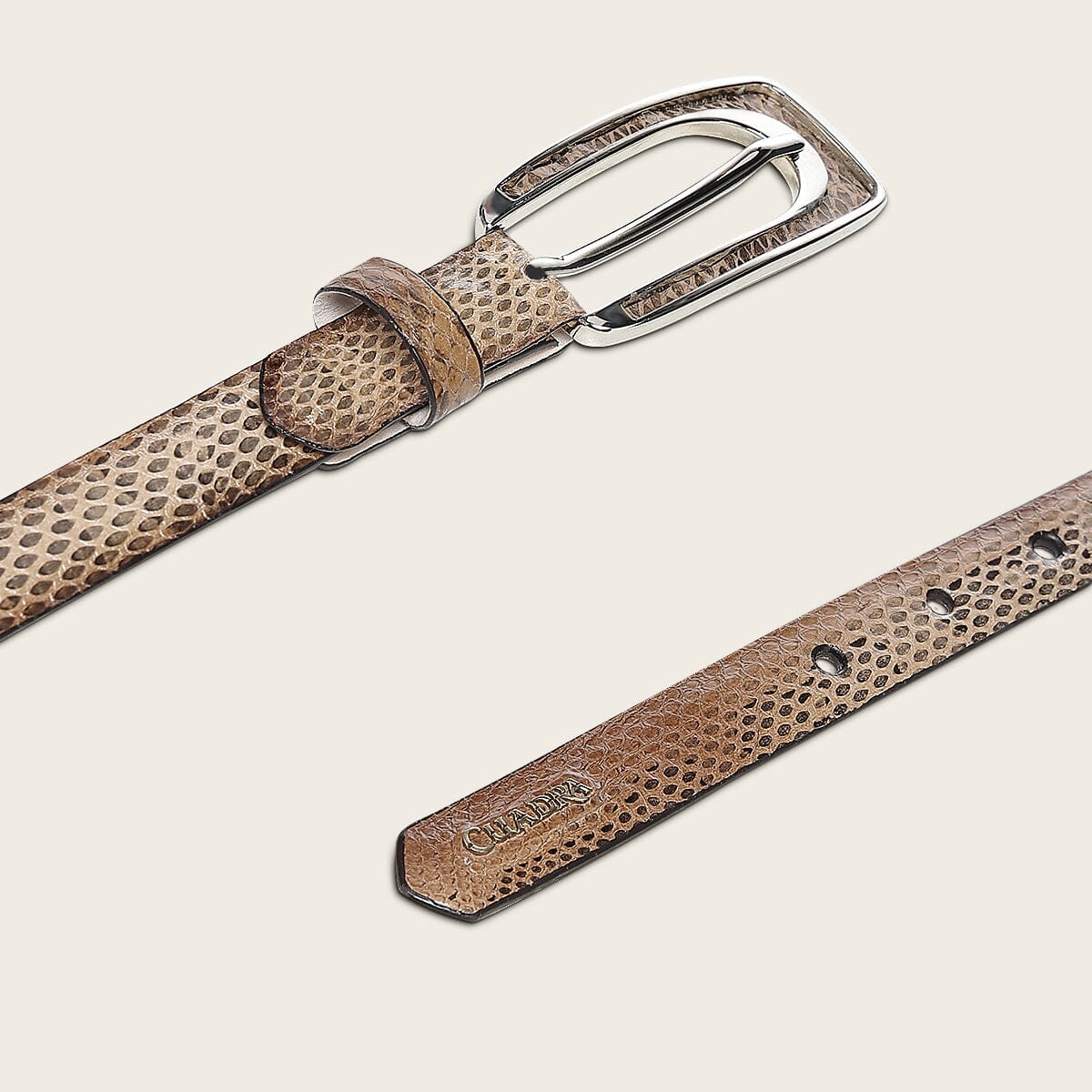 Cinturón en piel genuina de víbora buccata para dama - Imagen 4