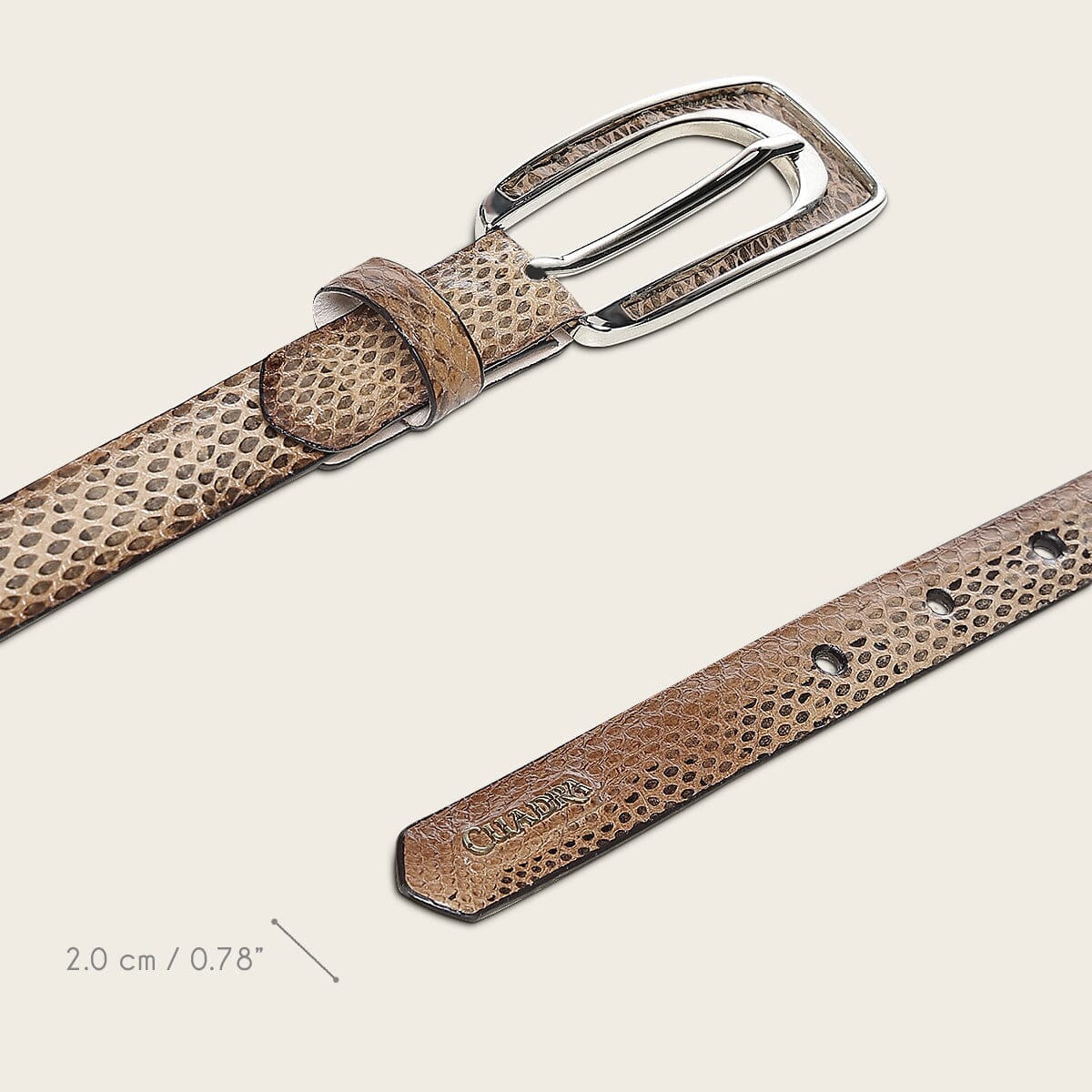 Cinturón en piel genuina de víbora buccata para dama - Imagen 6