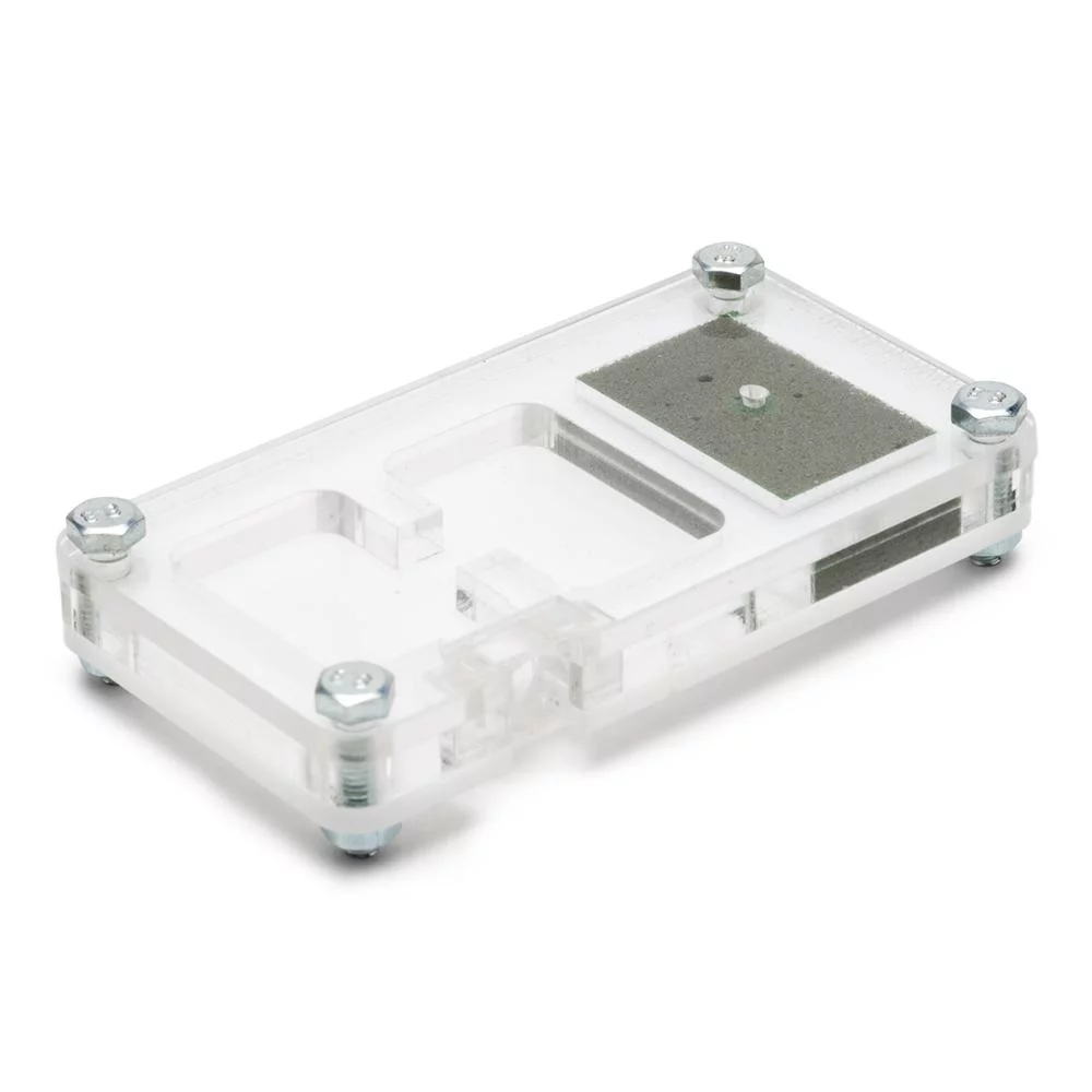 Mini Hormiguero Reina – 9x6x1,3 cm (Reina incluida) - Imagen 2