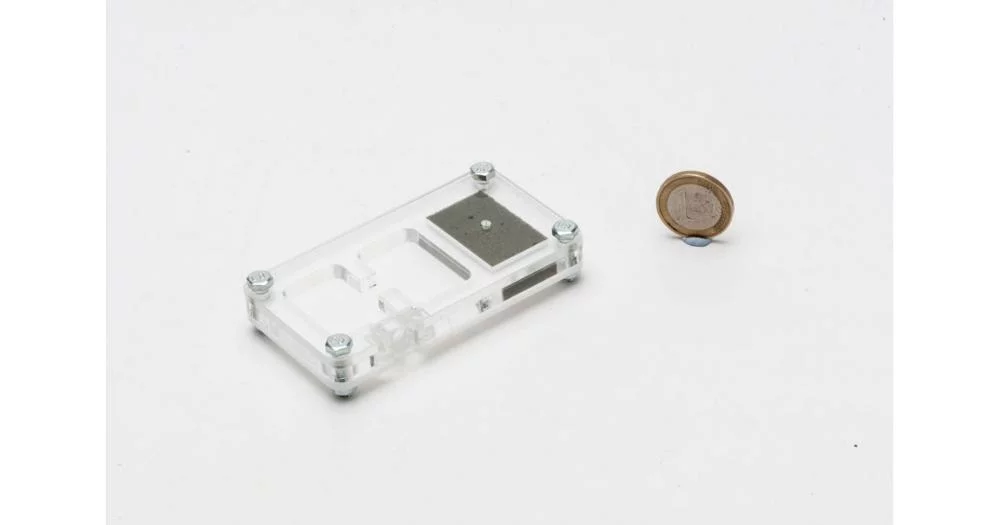 Mini Hormiguero Reina – 9x6x1,3 cm (Reina incluida) - Imagen 4