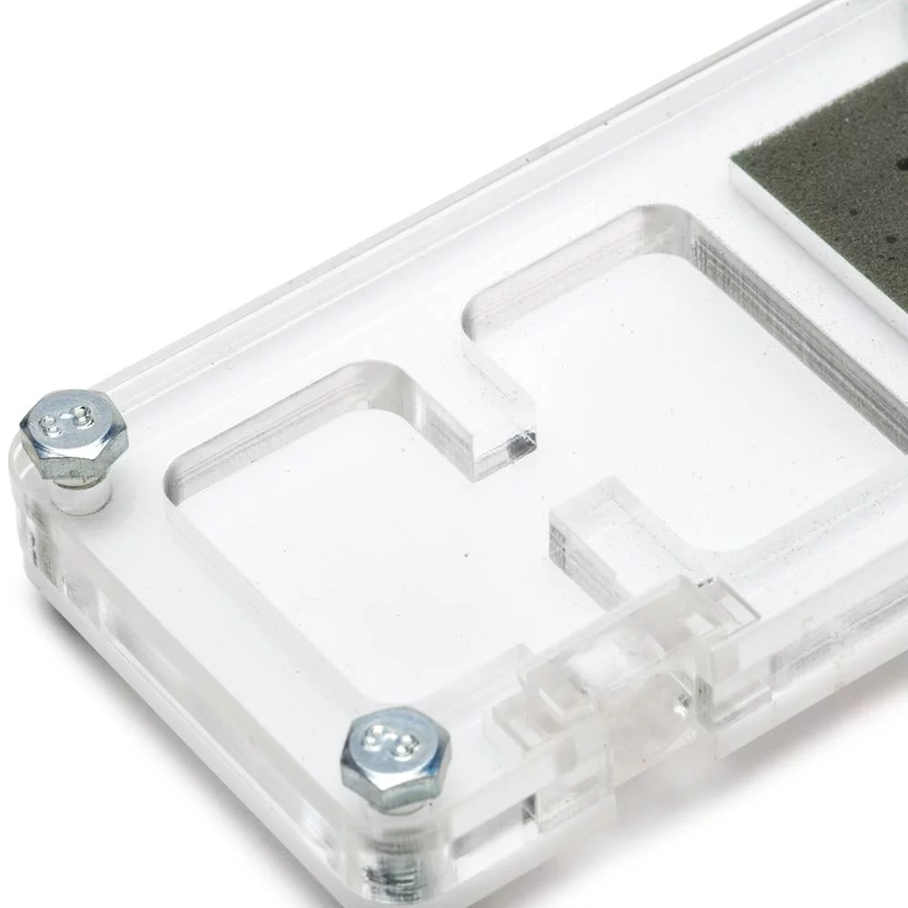 Mini Hormiguero Reina – 9x6x1,3 cm (Reina incluida) - Imagen 6