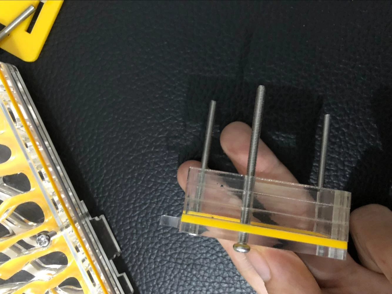 Nido de hormigas - Imagen 3