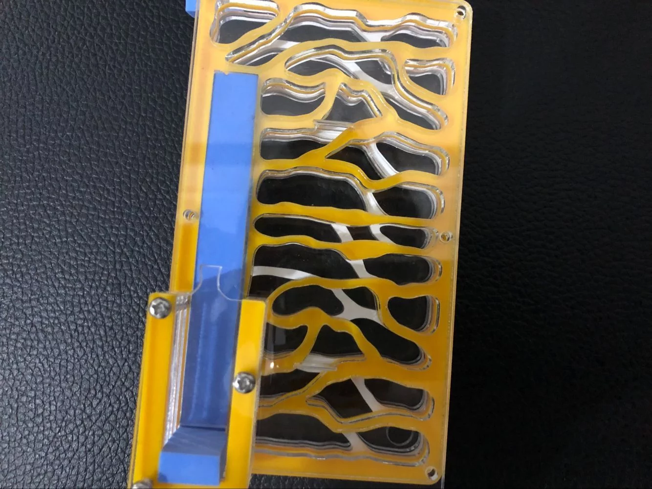 Nido de hormigas - Imagen 4