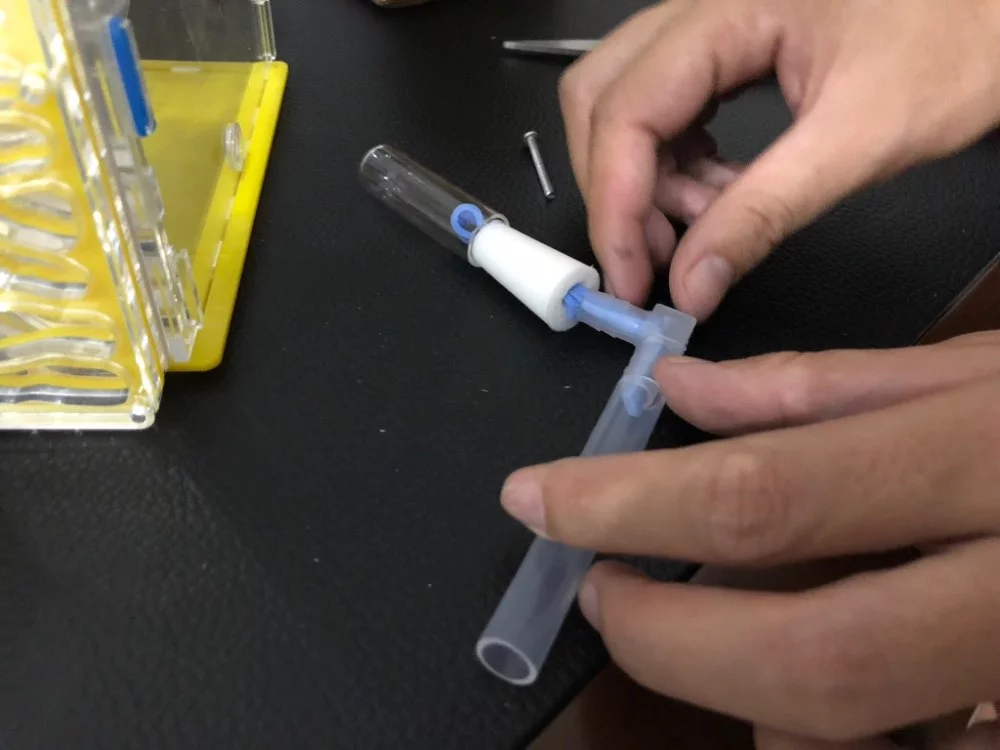 Nido de hormigas - Imagen 5