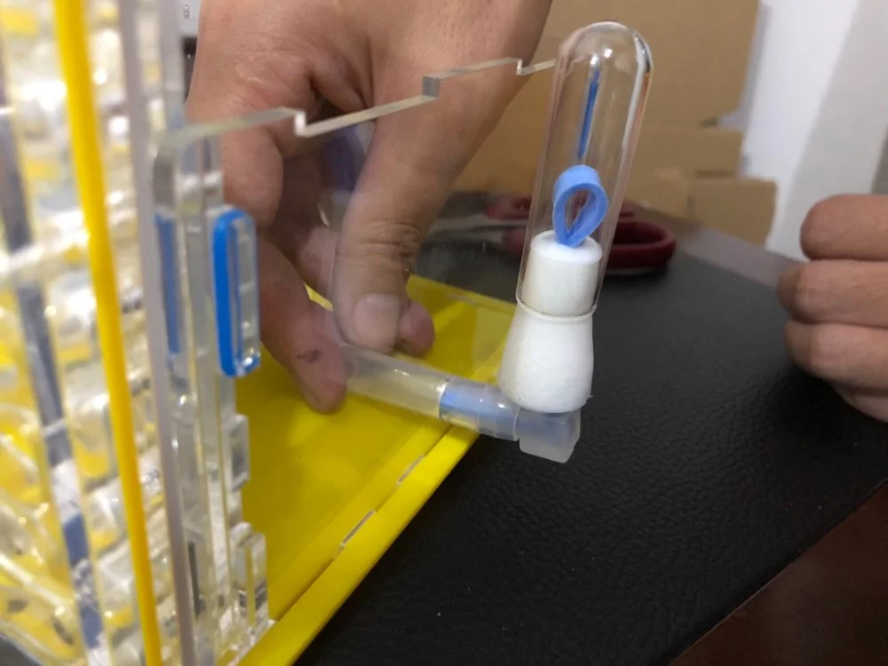 Nido de hormigas - Imagen 6