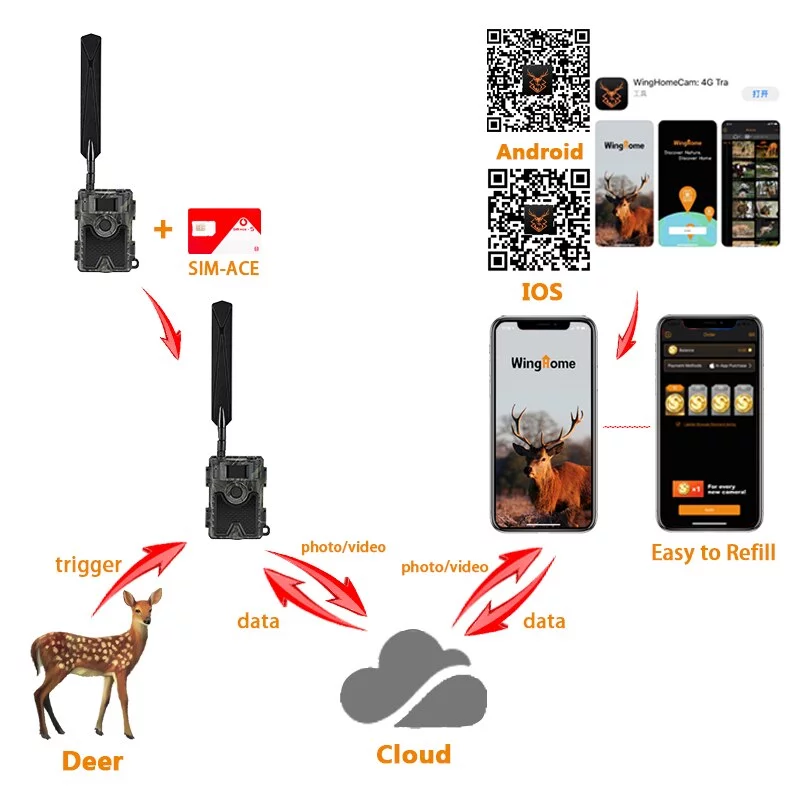 CÁMARA FOTOTRAMPEO 24MP HD (4G TRANSMISIÓN) CON APP GPS - Imagen 5